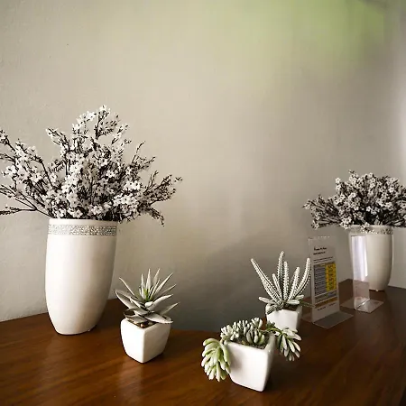 Pri Parku Guest house *